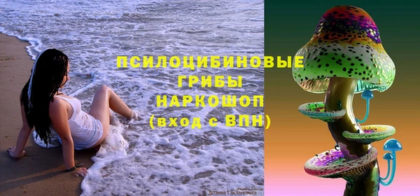 амф Абинск