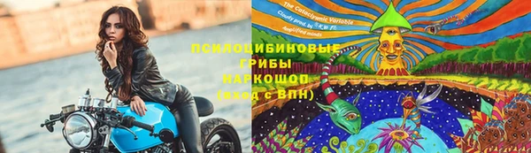 амф Абинск