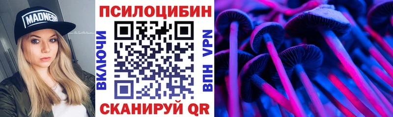 Псилоцибиновые грибы GOLDEN TEACHER  что такое наркотик  гидра рабочий сайт  shop как зайти  Змеиногорск 