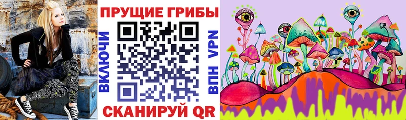 Галлюциногенные грибы ЛСД Змеиногорск